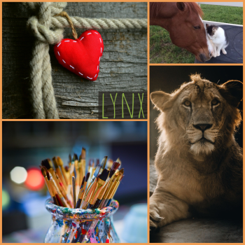 lynx moodboard: lions, cats, a heart, paintbrushes, and a horse.